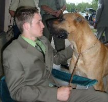 American Bulldog Breeder in  Michigan